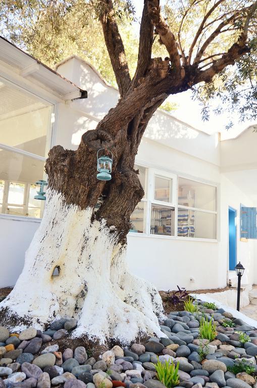 Misket Hotel Bodrum غوموشْلوك المظهر الخارجي الصورة