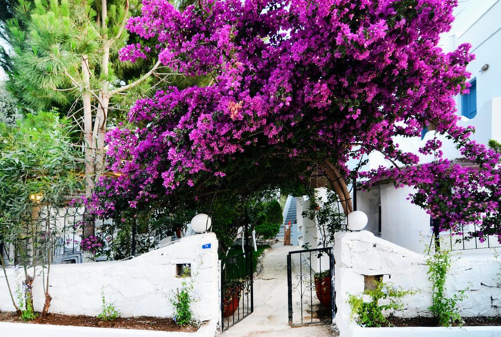 Misket Hotel Bodrum غوموشْلوك المظهر الخارجي الصورة